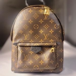 Louis Vuitton Palm Springs Pm Brown Monogram Canvas Backpack